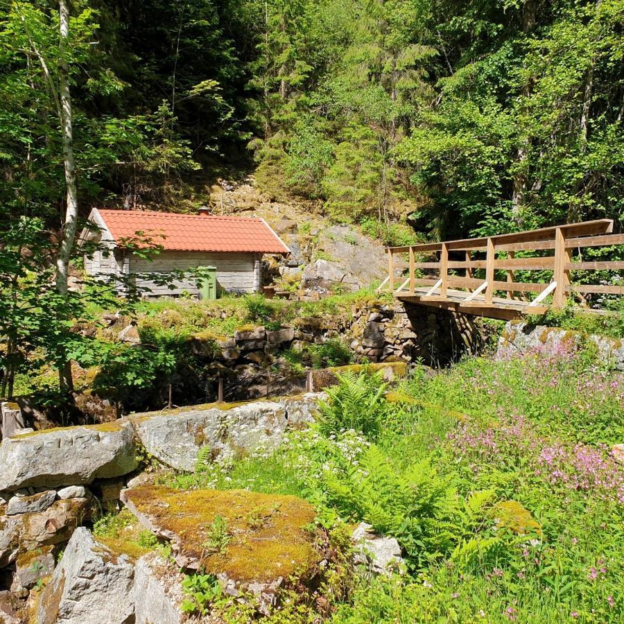 Cabin Near Lake And Beautiful Nature Reserve. Bodafors Dış mekan fotoğraf