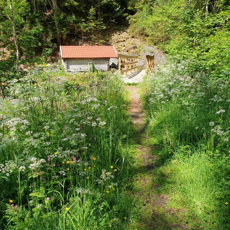 Cabin Near Lake And Beautiful Nature Reserve. Bodafors Dış mekan fotoğraf